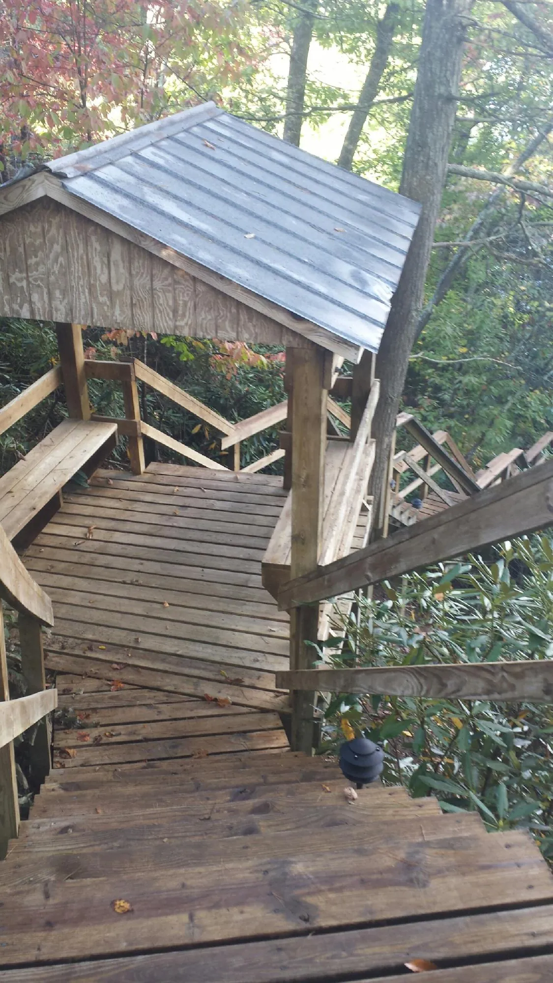 Metal roofed shelter over wooden steps on a wooded walkway — Skylight Repair & Installation work by our crew in Beaverton