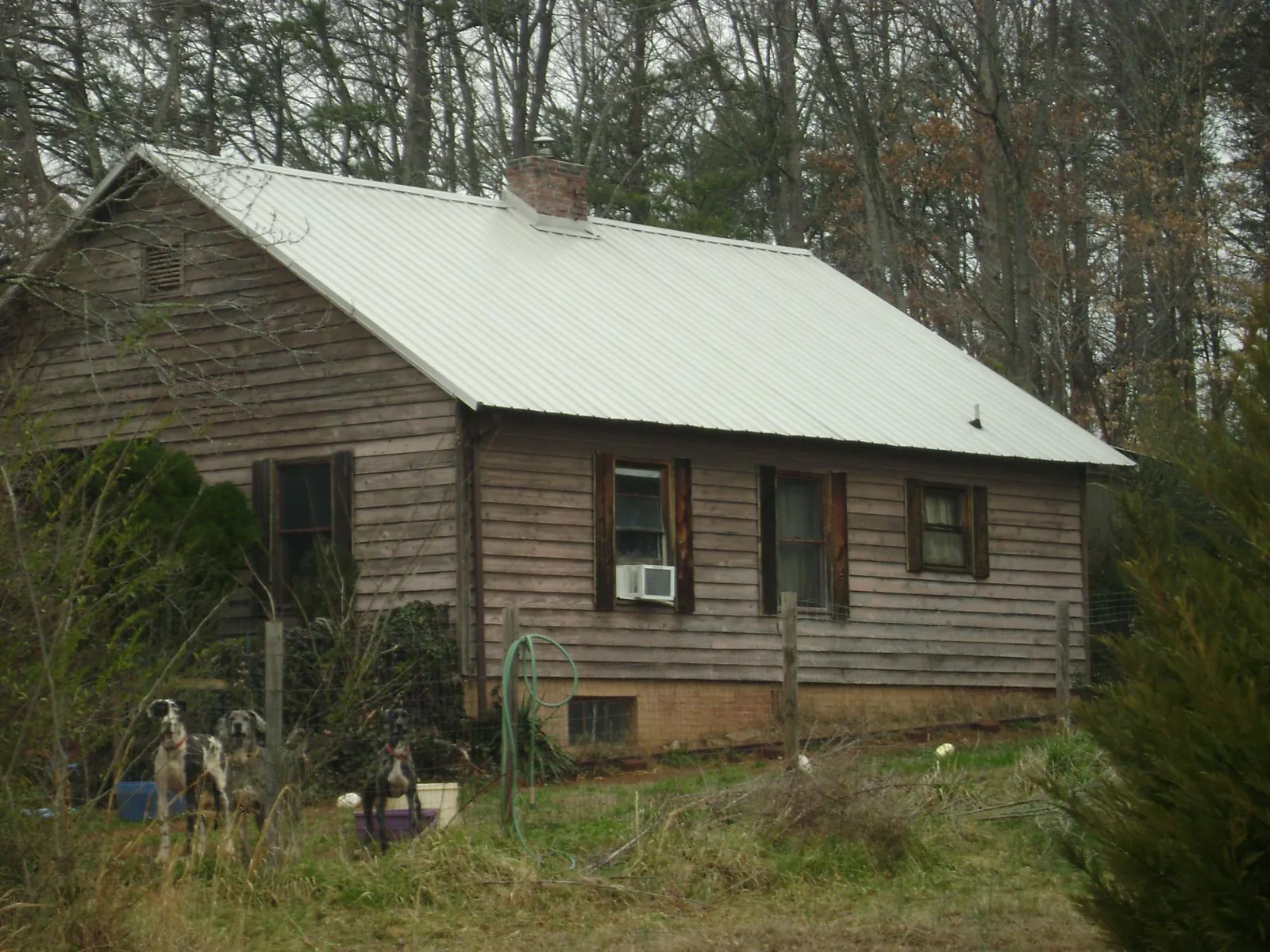 White metal roof on an old wood sided farmhouse, from a Metal Roof Installation job in Beaverton